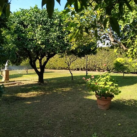 Da Ninnilla Holiday Home Скафаті Екстер'єр фото