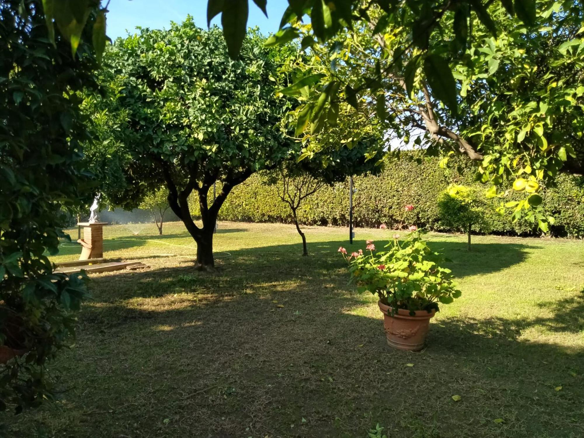 Da Ninnilla Holiday Home Скафаті Екстер'єр фото