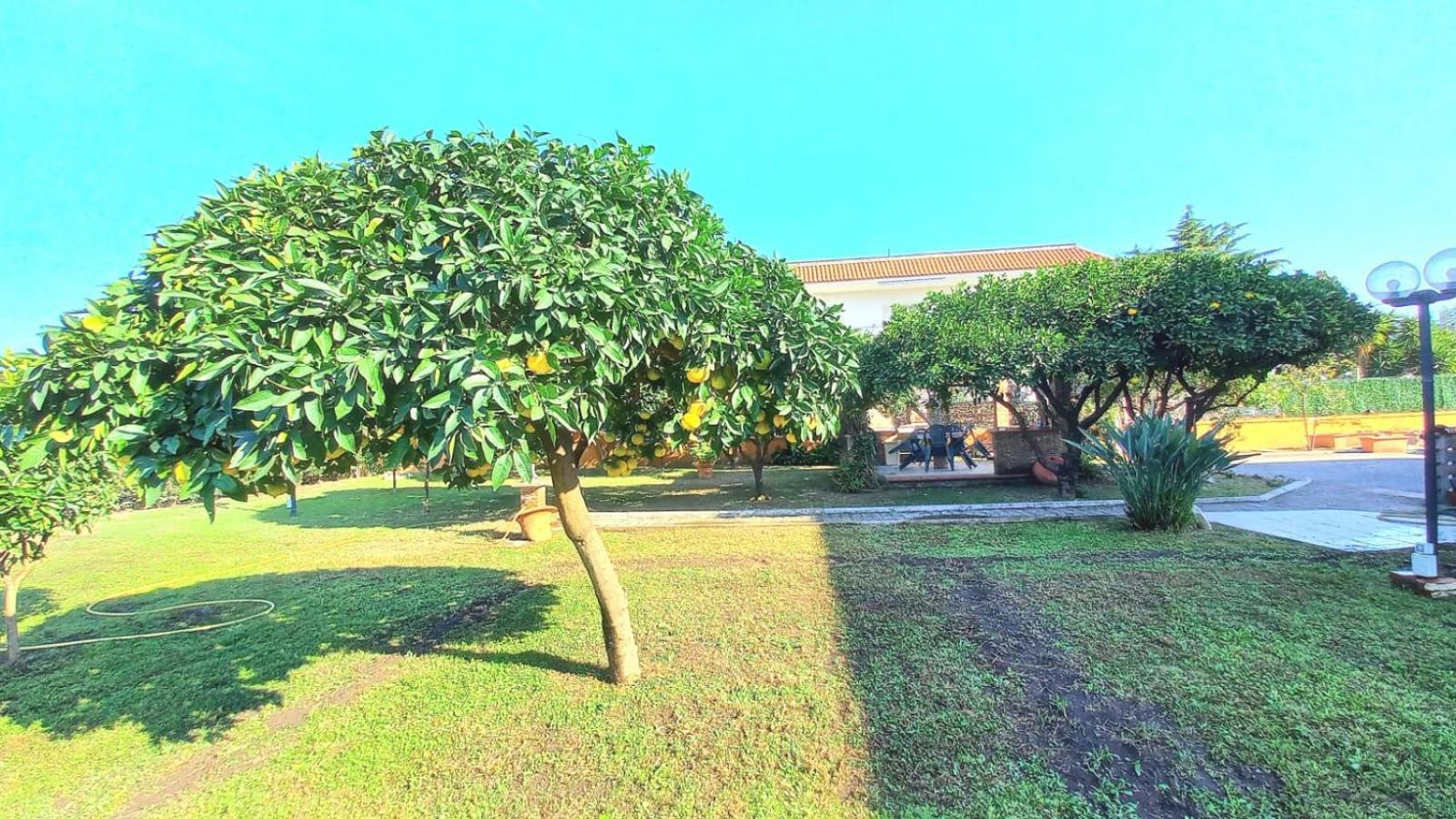 Da Ninnilla Holiday Home Скафаті Екстер'єр фото